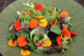 How To Make Pretty Nasturtium Salad