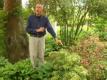 How To Prevent Diseases In Plants