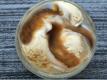 How To Make Prune Sherry Ice Cream With Burnt Sugar Sauce