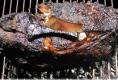 How To Make Pulled Pork And Pickles On The Grill