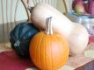Pumpkins & Butternut Squash: Antioxidant And Mineral-rich, Fall Vegetables Video