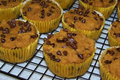 Gluten Free Pumpkin Chocolate Chip Muffins
