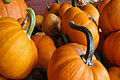Fall Pumpkin Dessert 