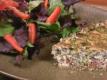 Veggie Tofu Quiche