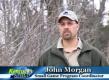 Quail Habitat In Kentucky - An Overview