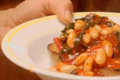 Quick Chard Stew