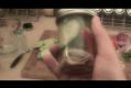How To Make Quick Pickles