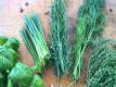 Quick Tip: How to Pair Herbs with Food
