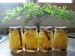 Quick Watermelon Rind Pickles
