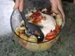 How To Make Special Quinoa Fruit Salad