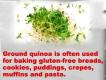 Using And Storing Quinoa