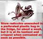 Tips For Buying, Storing And Using Radicchio Lettuce