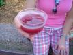 How To Make Raspberry Soup