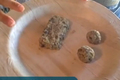 How To Make Microwave Pumpkin Bars