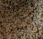 Raw Buckwheat Groats: Best For Body Health