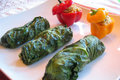 Raw Chard Dolmas