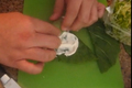 Raw Collar Spring Rolls with Cashew Cheese and Vegetables