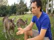 Raw Food Controversies, Great Health Debate, How To Eat Raw Almonds