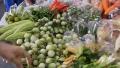 Thailand Local Market Review