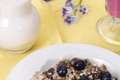 Raw Granola with Almond Milk