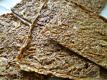 Raw Onion Bread