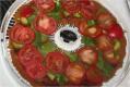 Raw Pizza Recipe