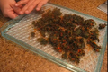 How To Make Raw Red Bell Pepper Chips With Kale