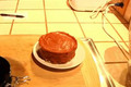 Raw Vegan Chocolate Pumpkin Pie