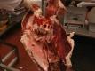 Ray Venezia: Come Hell or Hindquarter