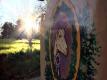 Milking The Sun Video
