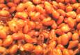 How To Make Pressure Cooked Refried Beans