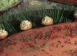 Review Of French Bistro Recipes At Le Perigord Restaurant