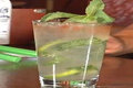 Roaring Dan's Mojito