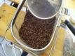 Roasting Coffee With A Hot Air Popcorn Popper 2