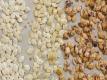 Roasted Pumpkin Seed Threeway 