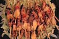 How To Make Rosemary Chicken Skewers