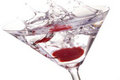 Low Calorie Cocktail: The Roxy Cocktail