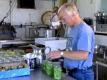 Canning Industry In Rural Areas Video