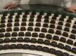 A Tour Of Chocolate Making Factory