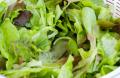 Salad with Sherry Vinaigrette and Candied Walnuts