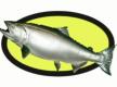 How To Make Hot Salmon