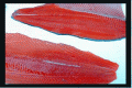 How To Slice Salmon Fillet Video