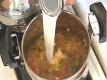 Conch Chowder
