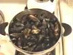 Mussels Provence Style