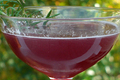 Sambuca Martini