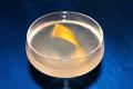 How To Make San Remo Cocktail