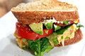 Hot Turkey & Cheese Sandwich 