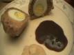 Scotch Eggs Recipe Video