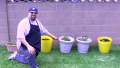 Gardening in Pots