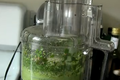 Cilantro Pesto
